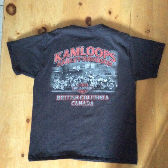 Harley Davidson Men's Tee - Size M - Picture 2 of 4